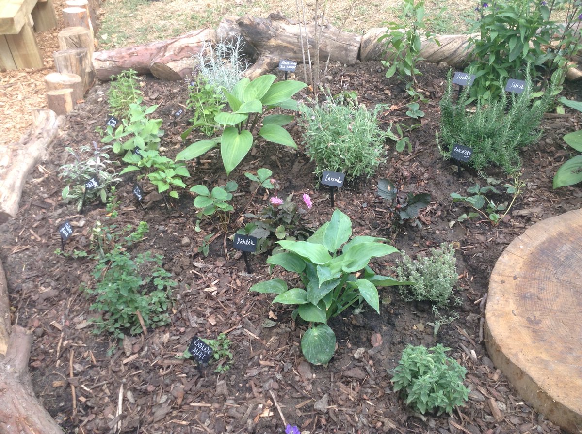 WilburyPrimary's tweet image. Our beautiful Wild City Garden is complete! @Salters_Inst  and @forestGardenELL brought our (year 5) designs to life. Many thanks to all involved!