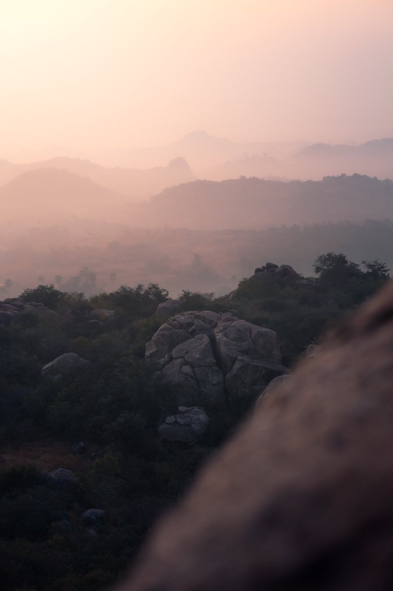 ritheesh sagar tweet media