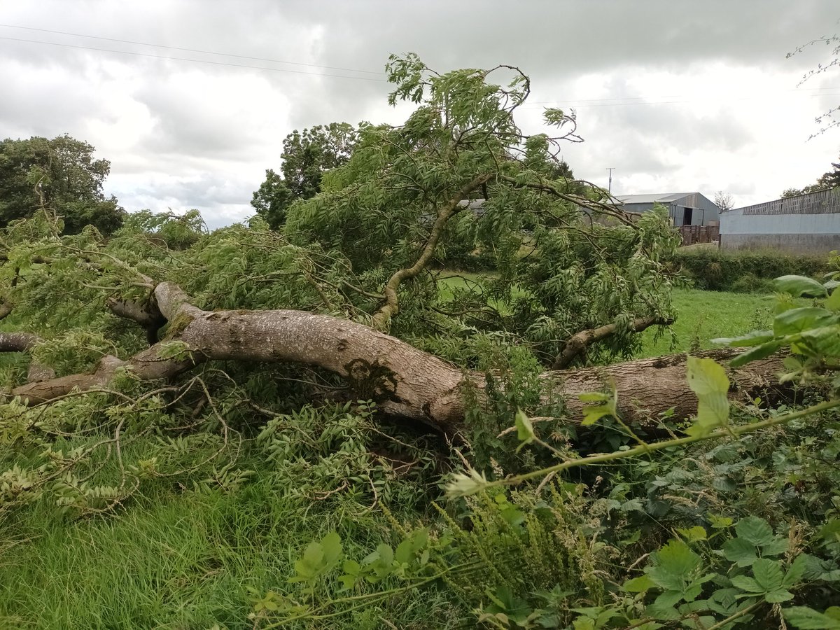 Didn't expect to see this today,  bit gusty .