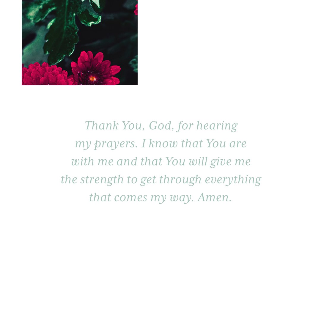 JoyceMeyer's tweet image. When we struggle with insecurity, only one thing will set us free, and that is God’s truth. The truth is that we don’t need to struggle to get from man what God freely gives us: love, acceptance, approval, security, worth and value.