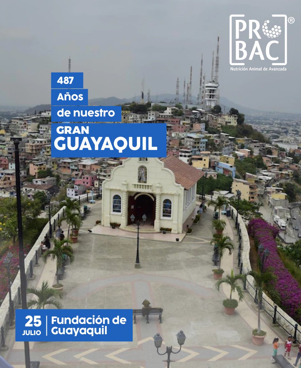 PROBACSA's tweet image. Un saludo especial de PROBAC para el GRAN GUAYAQUIL!. 
——————-
PROBAC 

#guayaquil #fundacion #perlalovers #comunidad #maderadeguerrero