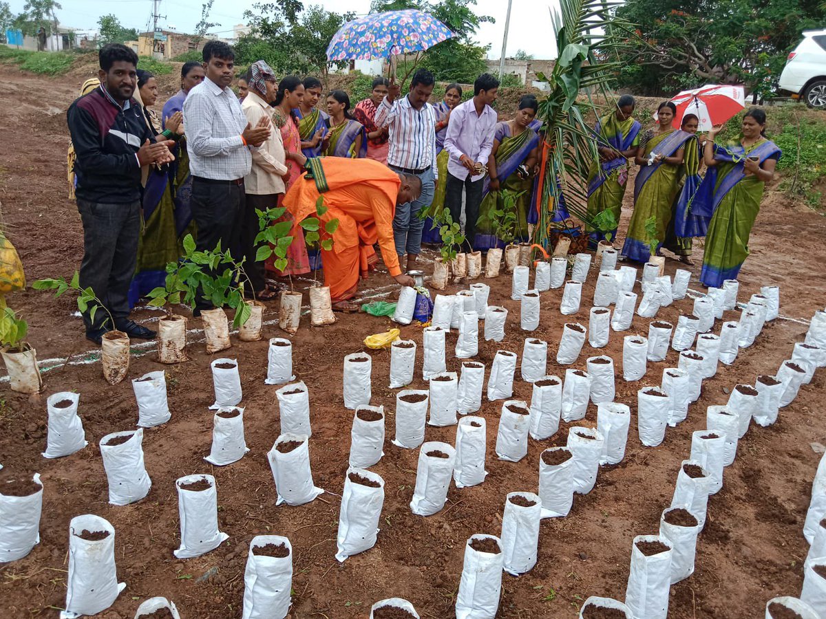 ManjushreeN_IAS's tweet photo. SHGs of @KarnatakaKsrlps developing Plant Nurseries at Gram Panchayats under @MgnregsK to supply for Social forestry,horticulture &amp; other plantation activities. Another livelihood activity for rural women entrepreneurs. @drashwathcn @DAY_NRLM @gokRDPR @ZPBagalkot @ZPUttaraKannada https://t.co/s10bkH57Og