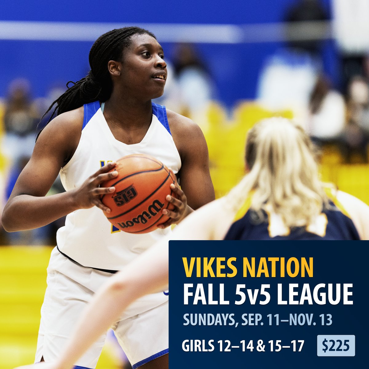 Vikes Nation 5v5 League will be tipping off Sunday, September 11th! Running Sunday afternoons through November 13th for girls age 12-18, will be a great warmup for your school season! Registration available soon...