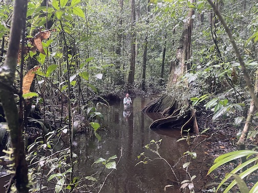 EvoPathAmazonia's tweet photo. With some interesting sites https://t.co/RO7GPtR7ak