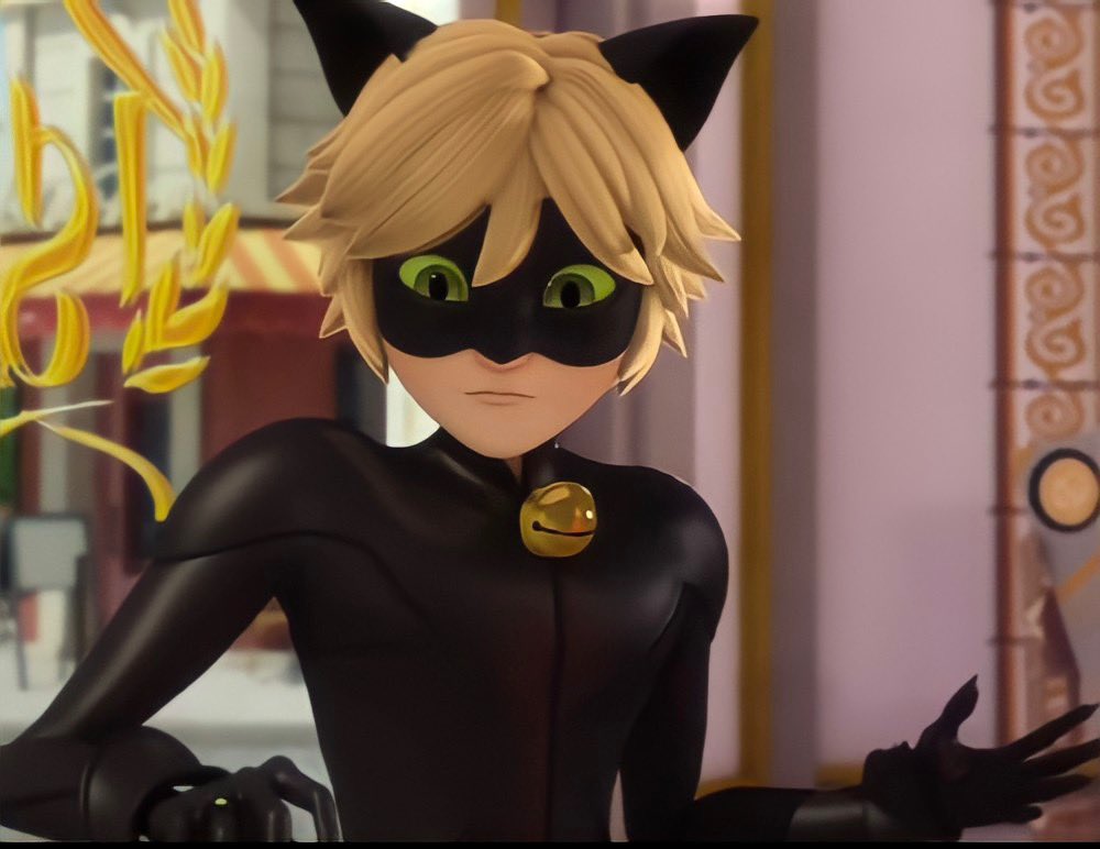 image chat noir