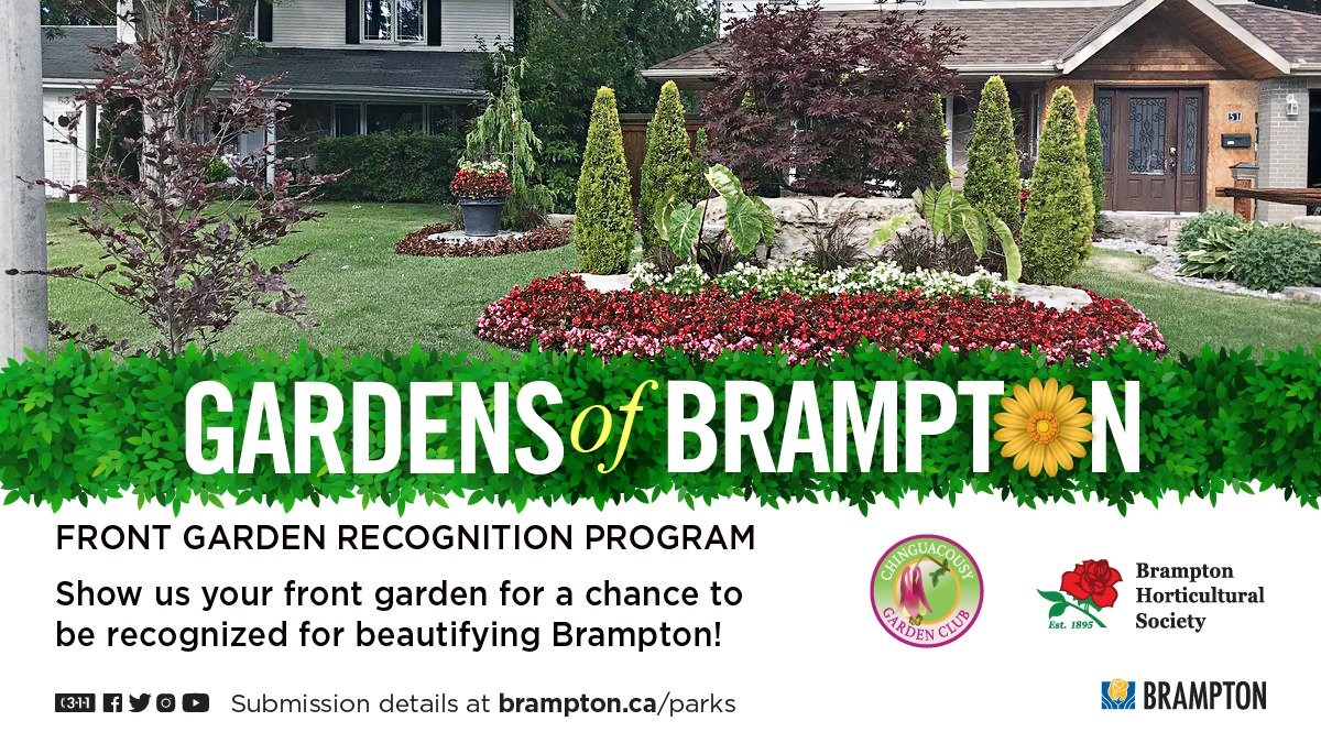 CityBrampton's tweet photo. Do you have the most beautiful garden in #Brampton? Then we want to see it! 🌸🌺

Show us your hard work as part of the #GardensofBrampton recognition program. Those recognized will be featured online and will receive a recognition card.

🔗Submit a photo: https://t.co/5jfsyd3JVI https://t.co/Sr53575DdV