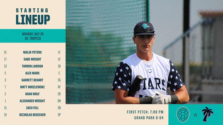 Snapping Turtles | Lids tweet media