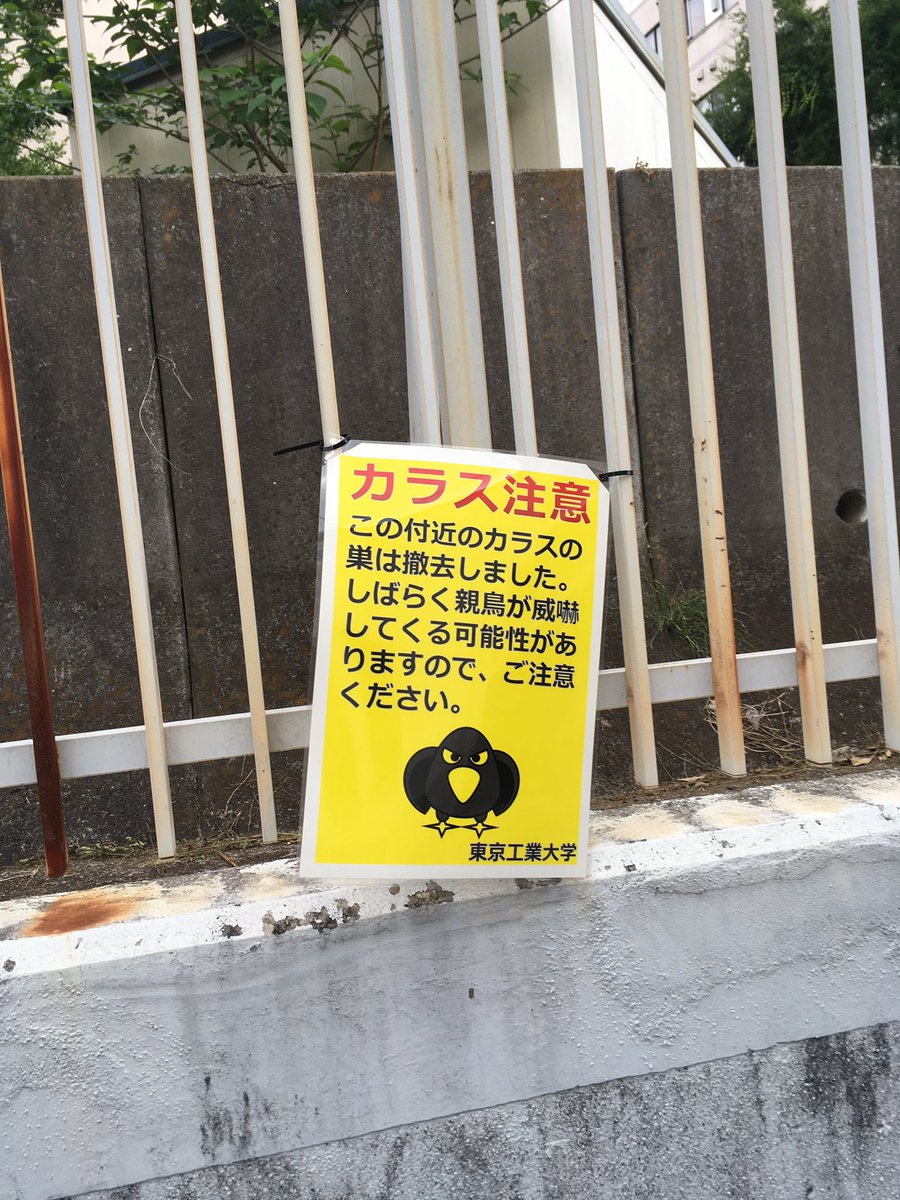 YusukeShinyama's tweet photo. “CAUTION: We have removed a crow nest nearby. The angry parent birds might attack you.” https://t.co/djL6kJR9ak