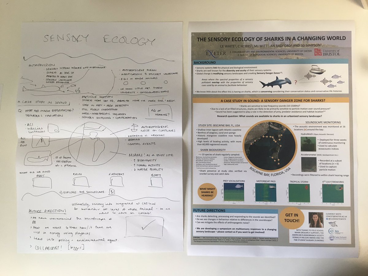 I love it when a plan comes together! Looking forward to sharing some early stages of our work at the @fsbi2022 symposium this week.

First content draft ➡️ final version print test