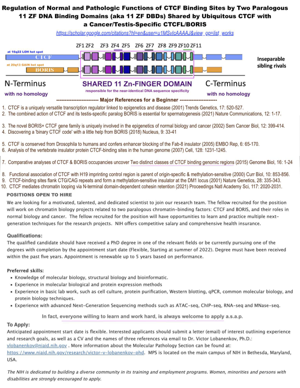 @BienkoMagda 🌻Dear Magda, hi: If by any chance You may know a person who would like to move to Bethesda USA for a 5-7 year PhD Fellowship on the 🗝CTCF family in🧬epigenetics and chromatin , please forward to him/her a self-explanatory 'Job Ad' attached below: