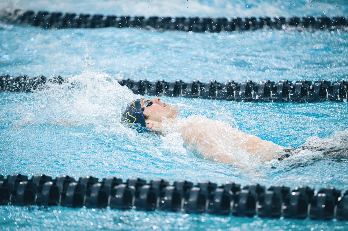 WVU Swim & Dive tweet media