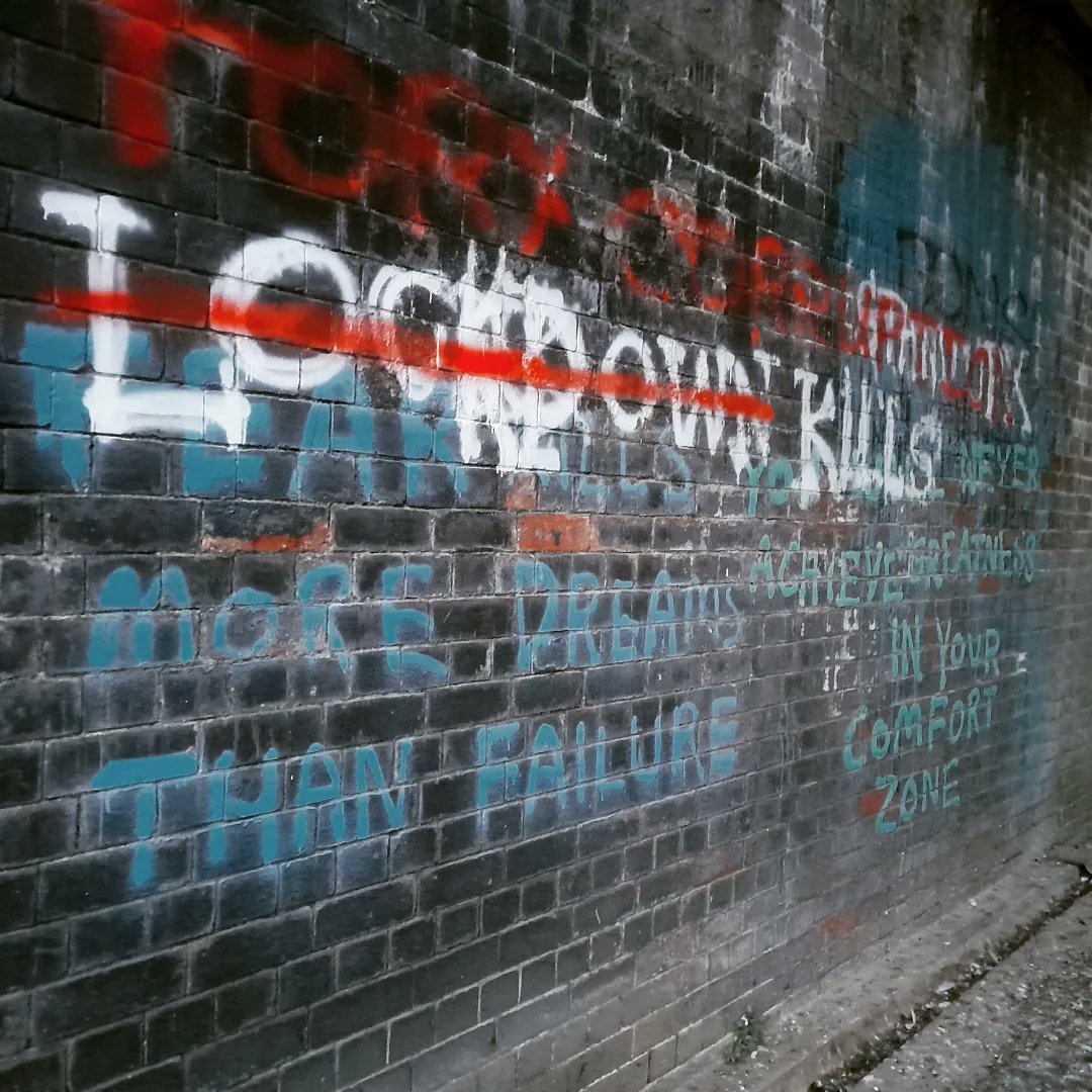 KatieBi77022374's tweet photo. Evening walks are good for the soul 🌌 #shrewsbury #quarry #weir #riverpath #graffiti #art #julynights https://t.co/muVwHjZA1F