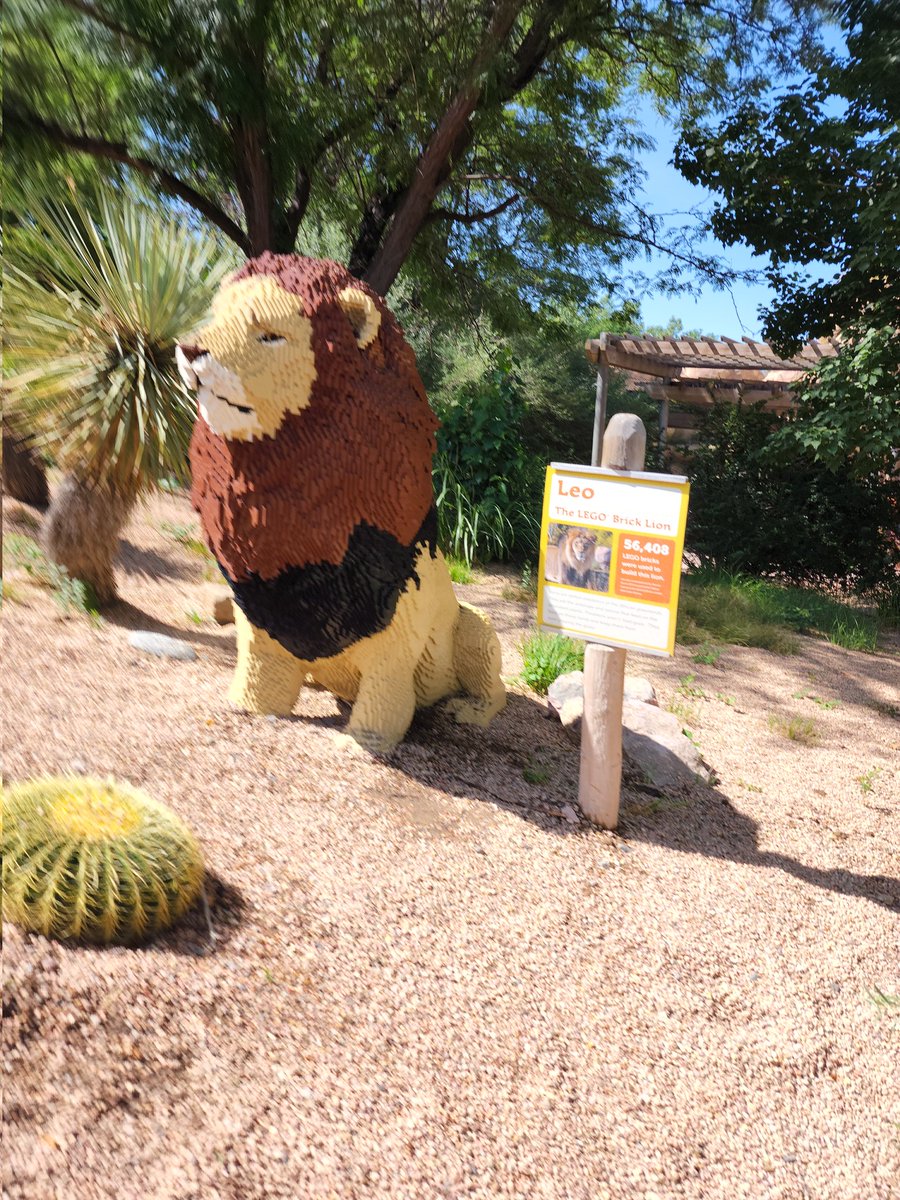 FreeZ3KiLLz's tweet photo. Zoo day with the fam 😌 https://t.co/plEtqDosSl