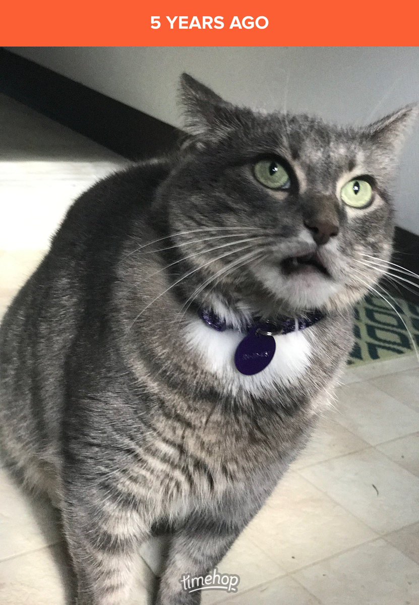 5 years later and this is still me on the regular. Thanks #timehop