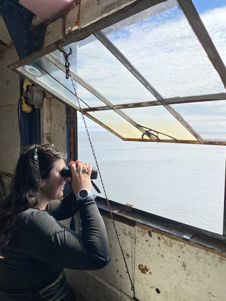 Kristin Westdal, PhD tweet media