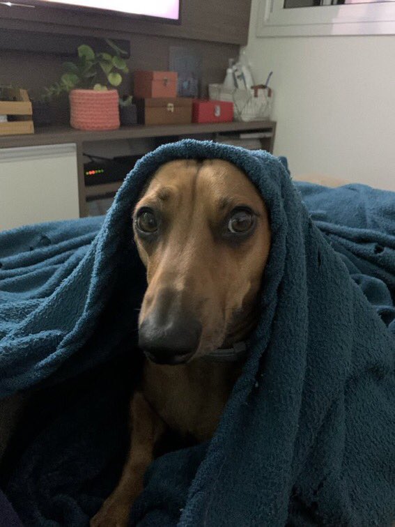 ningonlyminha's tweet photo. fico rindo desse coment ai quando falam do aespa eu fecho a cara na hr https://t.co/lhYRoktxk9