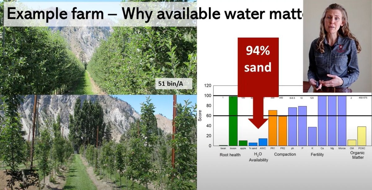 wasoilhealth's tweet photo. Soil health means different things for different cropping systems. 

Watch/listen to Dr. Tianna Dupont explain what soil health means in Washington orchards here. 
@WSUTreeFruitExt
#soilhealth #soilcon

https://t.co/qX8JjTWgek https://t.co/L55akDrNGQ
