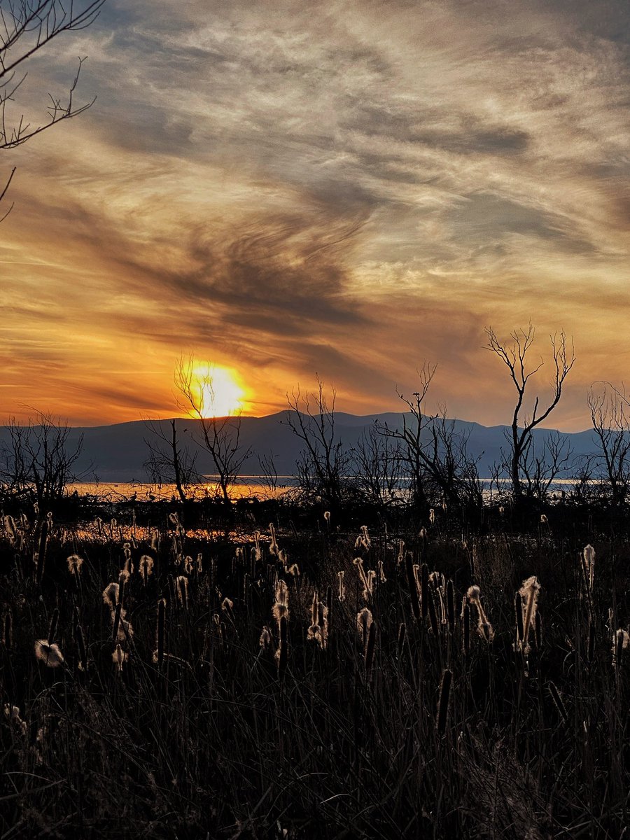 menis_art's tweet photo. Beautiful Greek Sunset at the lake Kerkini. #sunset #Greece #greeksunset #nature #photo #photography #atthismoment https://t.co/YcjXzaVXOo