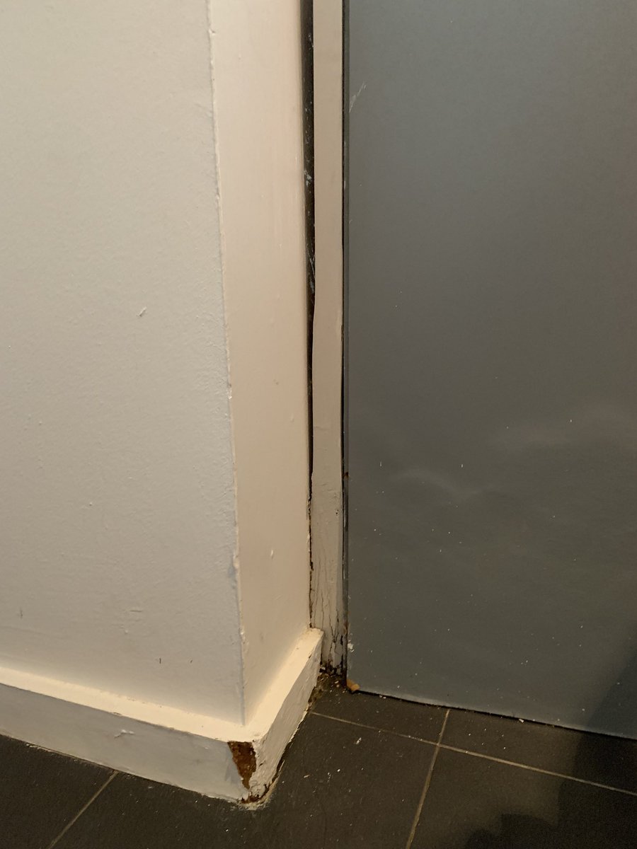 jmcabrera1976's tweet photo. @medplaya . Qué pena de instalaciones. En web publicidad solo de habitaciones reformadas pero no de las viejas y nada barato!! Que mala imagen. Arañas, mosquitos y cochinillas por todos lados, roturas y grietas. Qué decepción https://t.co/xIOttdlHk9