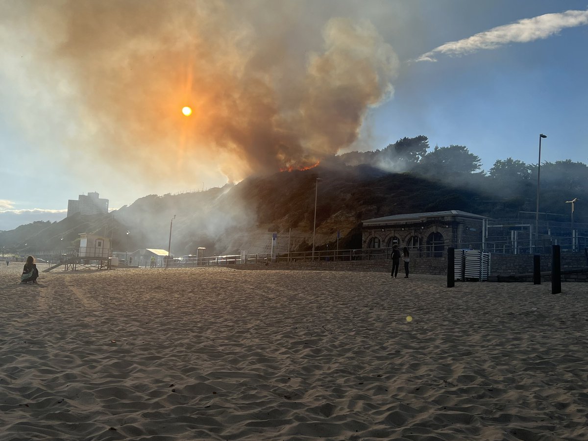 Matthew Abraham tweet media