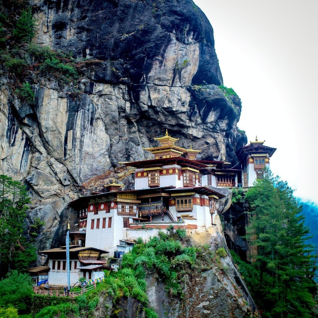 ViaggiElefante's tweet photo. Mindtrek in Bhutan 🌱

Un’occasione unica per assaporare fino in fondo la storia, la natura e la spiritualità del più misterioso Paese asiatico, accompagnati da Guido Freddi, antropologo specializzato in culture Himalayane. 
Il Bhutan rappresenta la m… https://t.co/OfxXR02HgI https://t.co/SOru6EAJTS