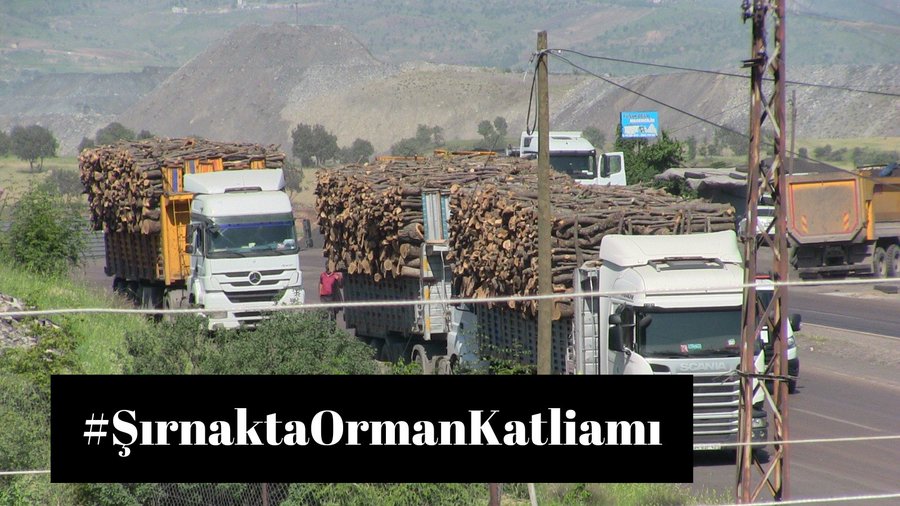 ekolojihareketi's tweet photo. Güvenlik bahanesiyle doğa talan edilmekte ve #SırnaktaOrmanKatliamı hala devam etmektedir. https://t.co/t80DHWoecf