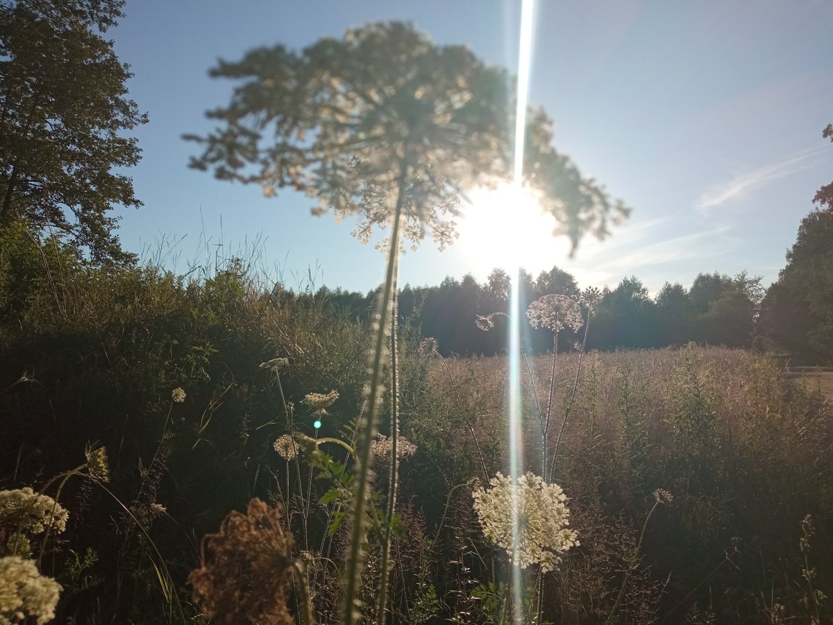 MarcinZenko's tweet image. Niech energia będzie z wami 😇😇😇😇