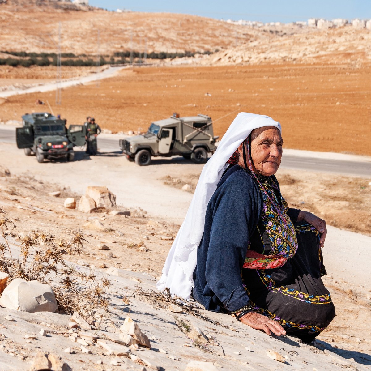 Operation Dove tweet media