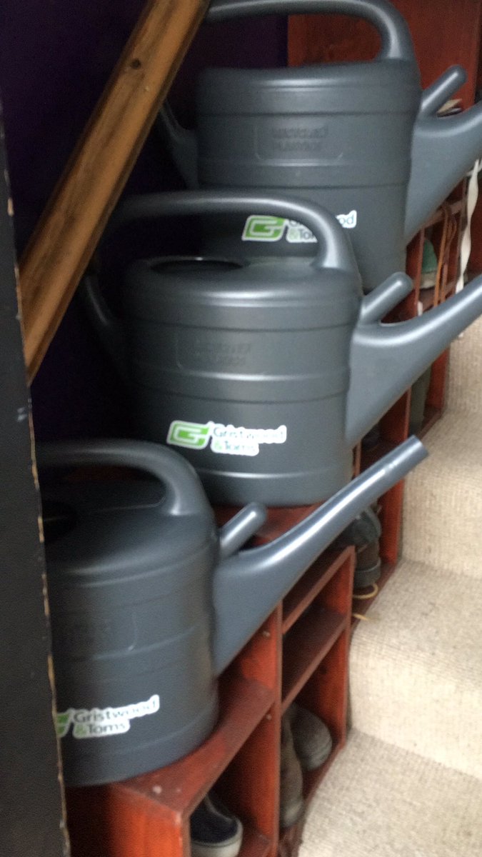 purple_pots's tweet photo. Watering cans delivered by @wfcouncil waiting for my @QBC_E17 neighbours to pick up. We are trying to look after our poor dehydrated trees 🌲🌳 email trees@walthamforest.gov.uk for your free watering can. @stellacreasy fabulous work by LBWF! #lookafterourtrees #climatechange #E17 https://t.co/m1YpmCeolL