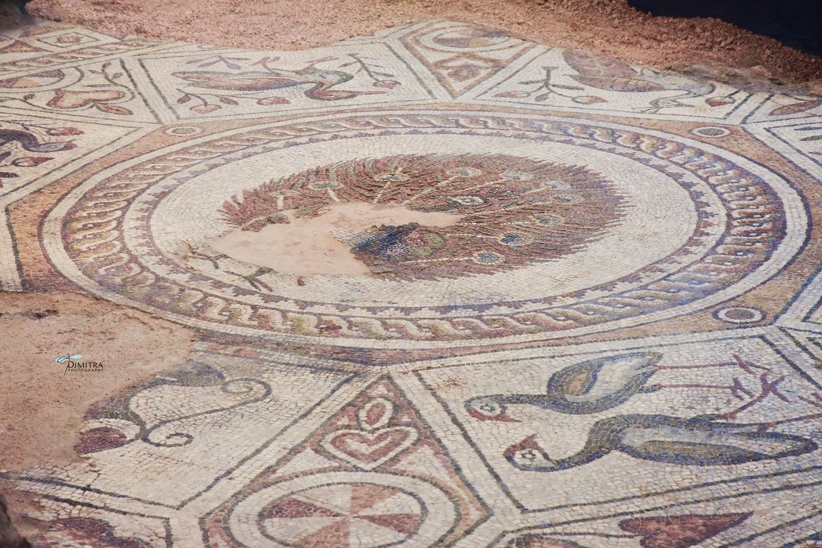 The mosaics in the Bishop’s Basilica of Philippopolis are a miracle. Symmetry, mastery, and sense of aesthetics beyond our notions of those who precede us. Rich and amazing forms flow into each other, intertwine, merge and form new ones: visitplovdiv.com/en/node/9437