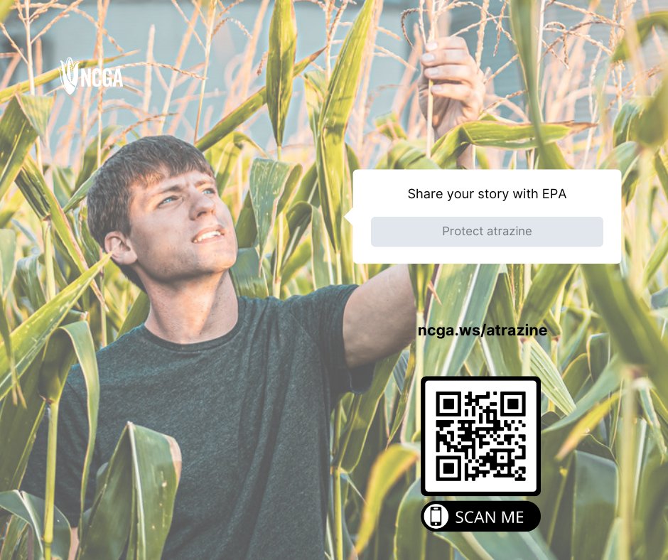 We need your voice again as we relay to EPA that atrazine is a valuable weed control product for your operation. Recently EPA released a proposed rule that would lower the level of concern (LOC) to 3.4 ppb.

Use this link to comment: ncga.com/take-action/be….