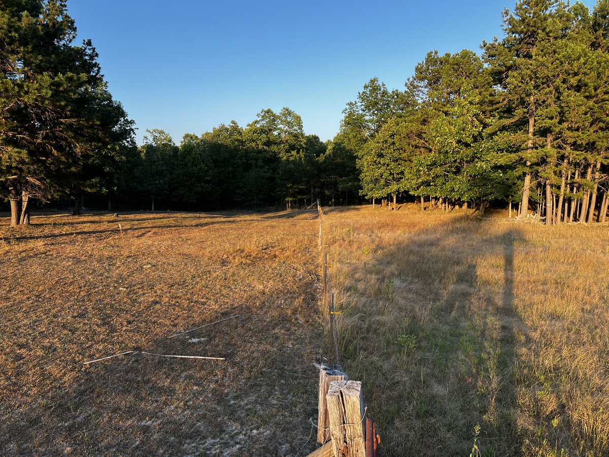 _pinegroveranch's tweet photo. May-July comparison of Pine Grove and surrounding pasture. Fencing out the livestock is helping hold back desertification, but the vegetation is dying off. We need rain #pinegroveranch #drought #pinegrove https://t.co/IPiG9wQIkR