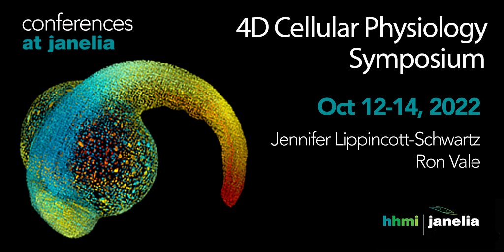 HHMIJanelia's tweet photo. Help us kick-off our new research area at a hybrid symposium w/4DCP group leaders, advisory board &amp; researchers from around the world.

Virtual participation open to all. Grad students: Apply to present a poster in-person by Aug. 19 ▶️ https://t.co/mN10aCzWcL 

@janeliaconf https://t.co/s3CZaJjCfD
