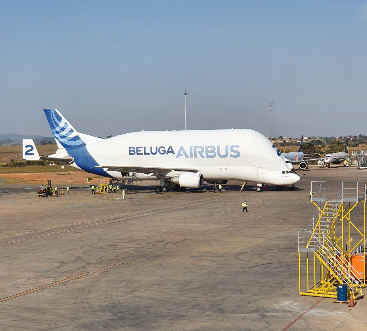 Muito fofo o beluga 🥰 @Airbus