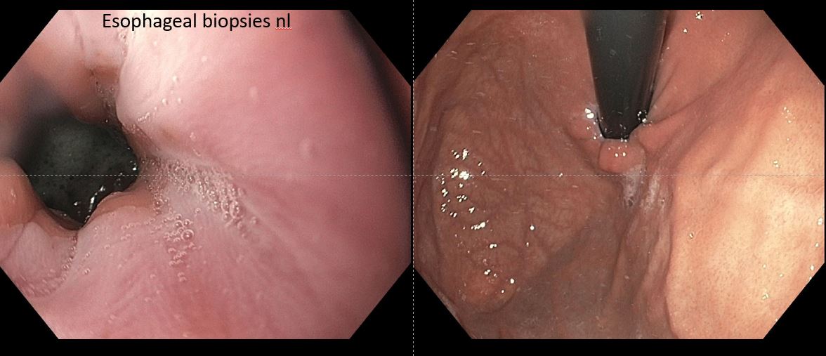 Jeff Conklin MD tweet media