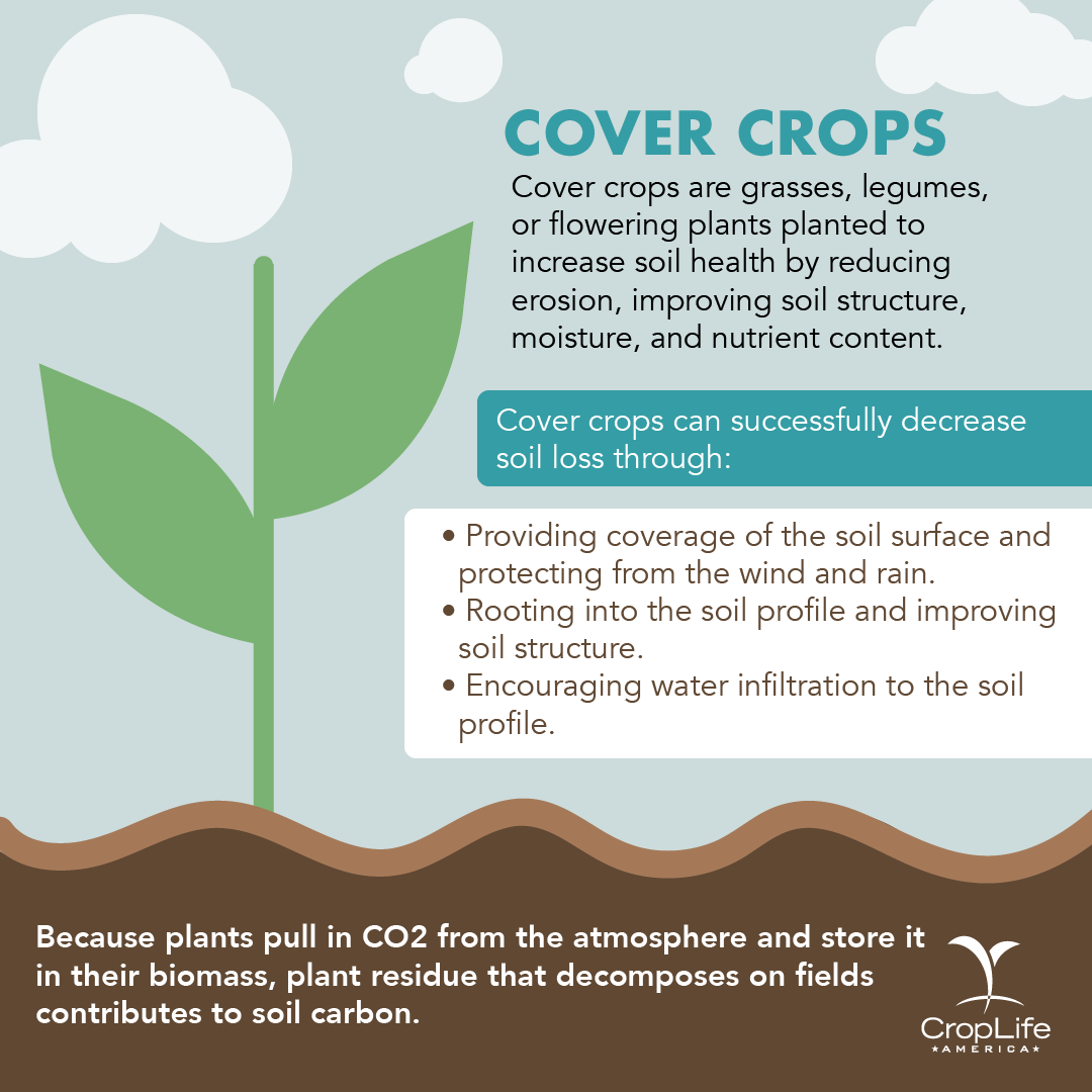 Cover crops are a tool that #farmers use to reduce erosion and improve #soil health. By planting cover crops, farmers help keep topsoil in place while also encouraging water filtration.