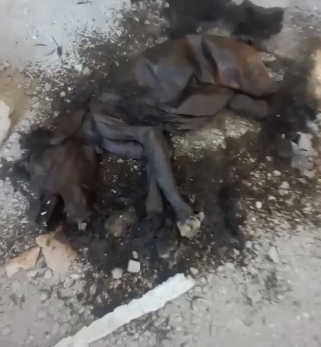 “Kim bir canlıyı/hayvanı, bir kuşu haksiz yere öldürürse, kıyamet günü ondan şikâyetçi olacaktır." (Kenzu’l-Ummal, h. no: 39968)
#HataydaKatliamVar