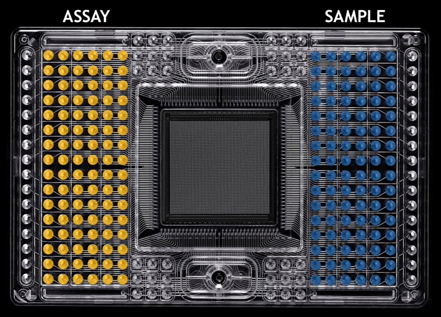 Standard_BioT's tweet photo. The Advanta™ #SampleID #Genotyping Panel provides a high-throughput and automated solution for molecular sample identification, enabling you to simultaneously perform molecular fingerprinting, quality assessment and integrity confirmation on every sample.
https://t.co/AvzCKIqsb9 https://t.co/LXUJkhXAHm