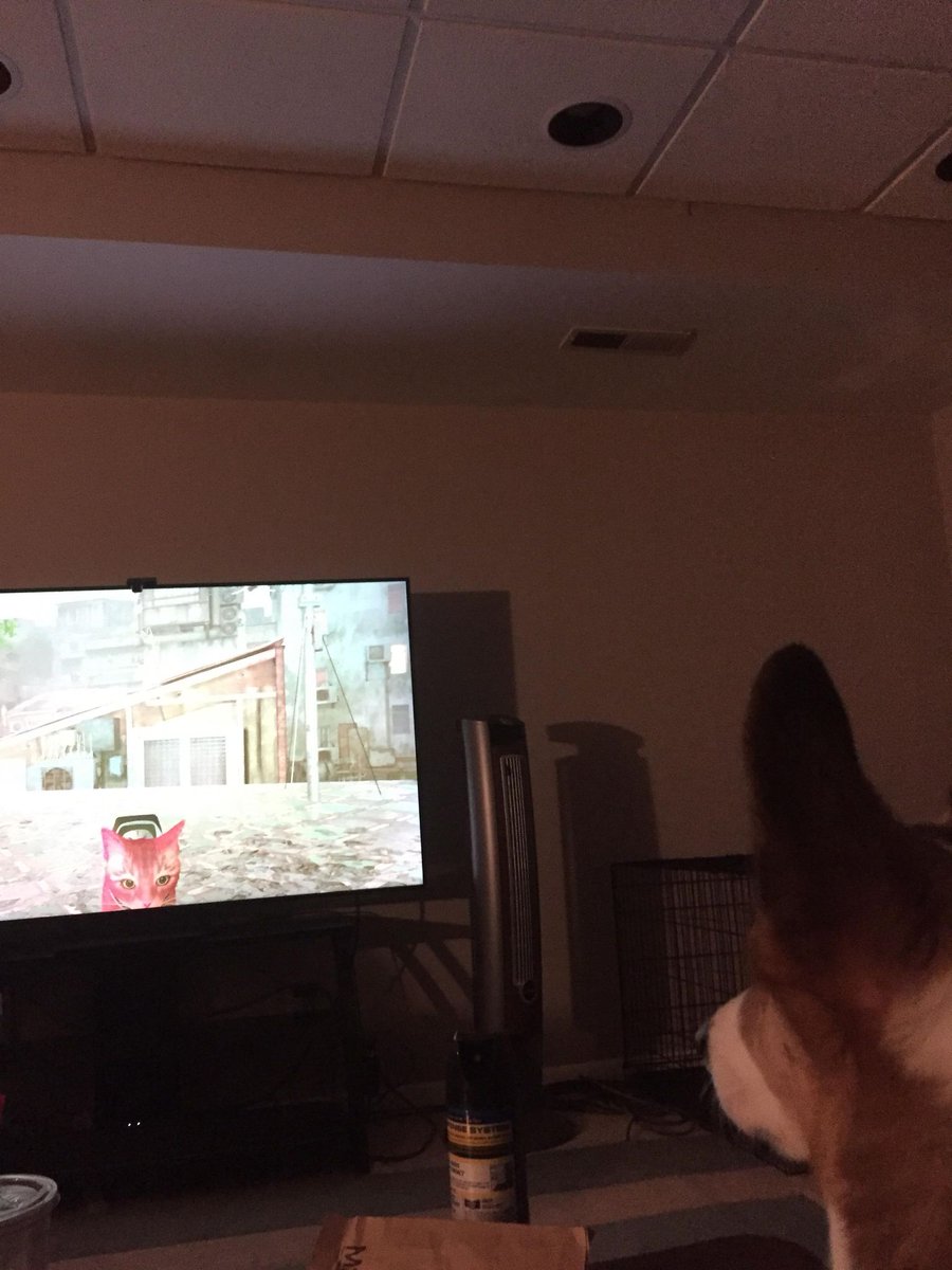 Levi Benson tweet media