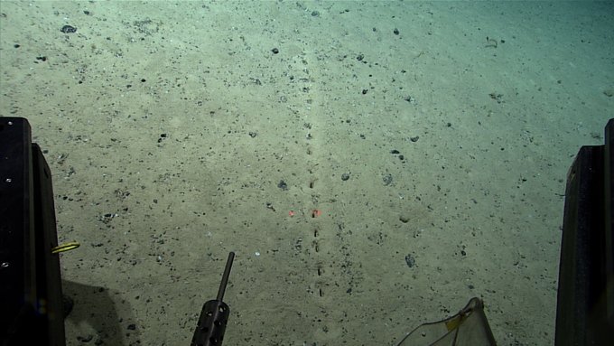 A series of small rectangular holes in a line on the seafloor