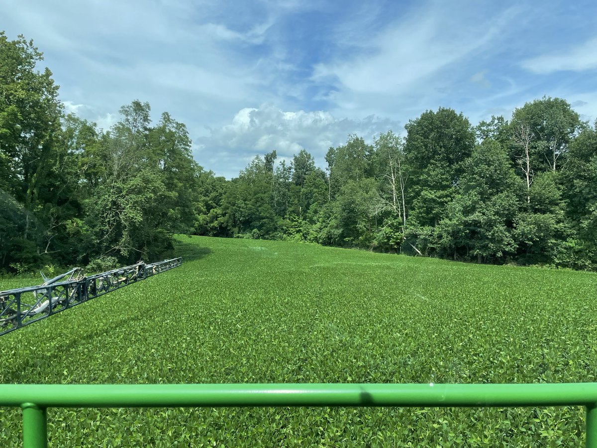 Scott Farm Company tweet media