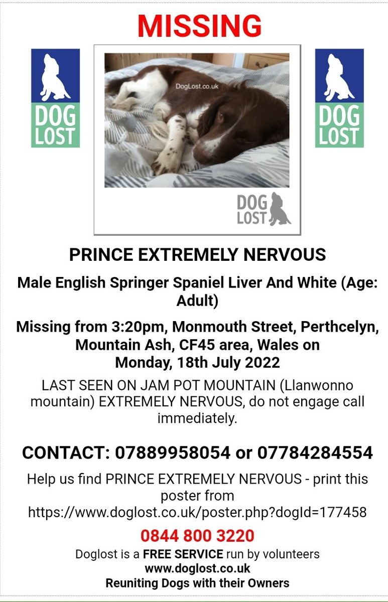 MissingPetsGB's tweet image. 🐕 PRINCE Missing from Monmouth Street, Perthcelyn, Mountain Ash #Wales #CF45 sincw Monday 18 July 2022 at 3:20pm
Last Seen on Llanwonno mountain AKA Jampot Mountain

EXTREMELY NERVOUS * PLS DON'T SHOUT OR CHASE 
doglost.co.uk/dog-blog.php?d…