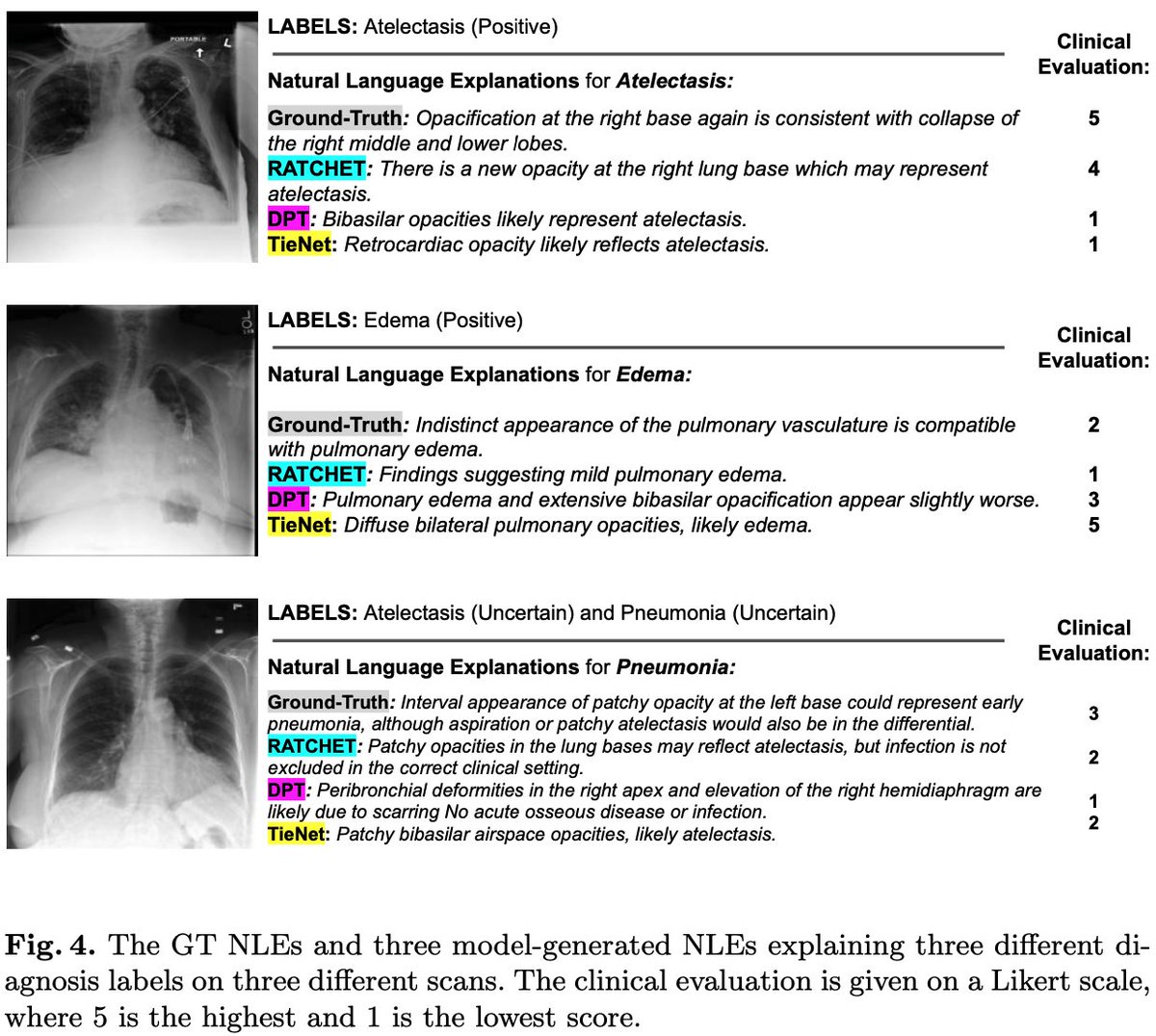 Maxime Kayser tweet media