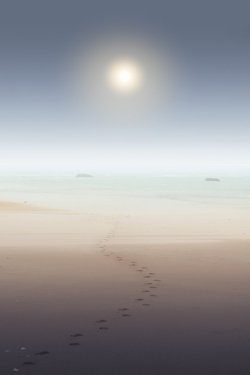 awayiflew's tweet photo. Moments in the fog https://t.co/jPRK0yPRRe