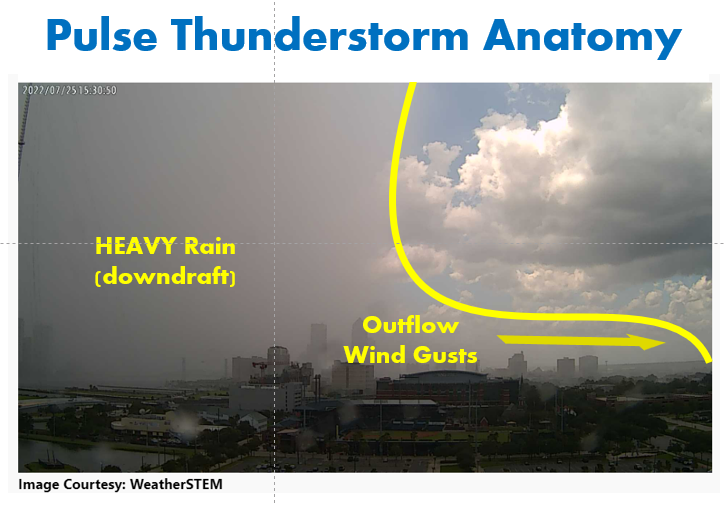 Here's a look at some thunderstorm anatomy! ⚡🤓

A strong thunderstorm has kicked out a gusty outflow over downtown Jax and it was caught on camera 📷

Strong thunderstorms  often produce gusty winds but we rarely get to see it on photographed (kind of looks like a 🦶)
#flwx