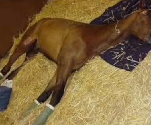 geberıcek ucakta atımız su da unseen fotısı