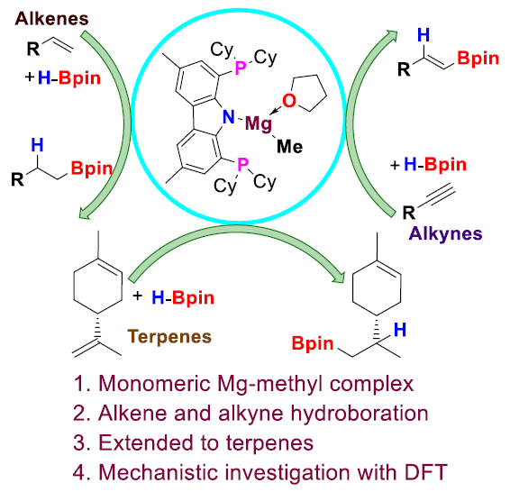 Boron_Chemistry's tweet photo. Monomeric Magnesium Catalyzed Alkene and Alkyne Hydroboration (@ChemEurJ): https://t.co/QwS2v8EAJX (@sakya_sen,
@rohitkumarls, @csir_ncl, @iiserkol). https://t.co/PHsCLffdkd