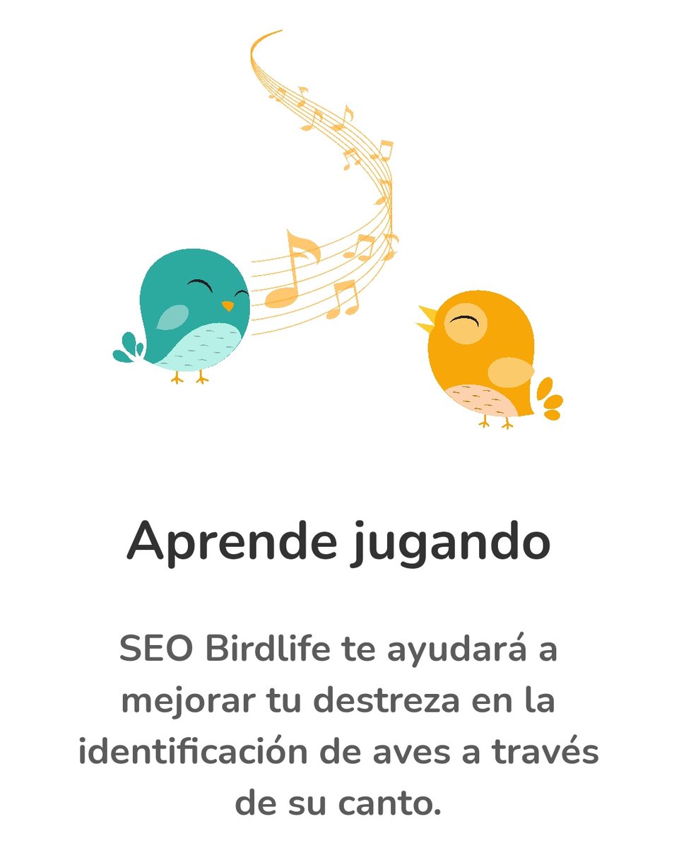 AMAE_SBC's tweet photo. ¿Quieres aprender a identificar el canto de un montón de aves? Además, están identificadas con unas ilustraciones magníficas 😀
⬇️ Mira esta App de @SEO_BirdLife #Avify ✅ https://t.co/uwbqs2hAZS