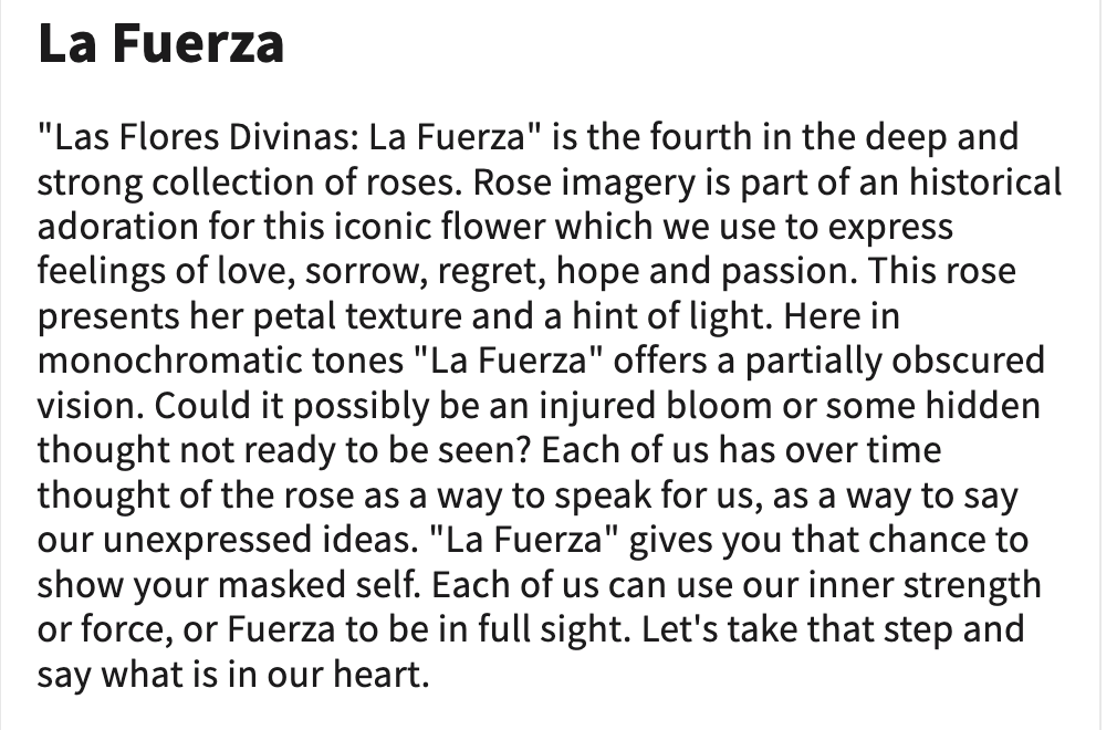 sdetroy's tweet photo. "La Fuerza" She is strong in #lasfloresdivinas #rosecollection #newmint #nftmintmonday 
Now there are four, with plans for more. https://t.co/PMjlSmkp31