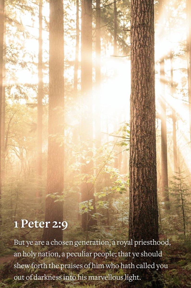 You are chosen to be a child of the King! HAVE A MARVELOUS MONDAY!